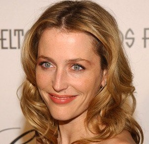 Gillian Anderson Married, Husband, Children, Gay and Plastic Surgery