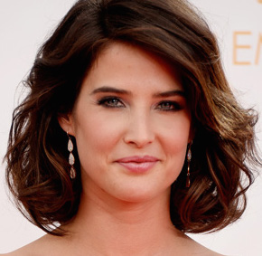 Cobie Smulders Wiki, Husband, Pregnant, Baby and Net Worth