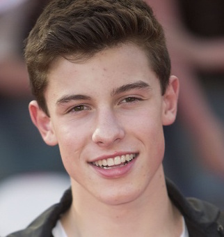 Shawn Mendes Wiki, Girlfriend, Dating, or Gay and Net Worth