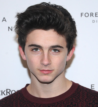 Timothee Chalamet Wiki, Bio, Age, Girlfriend and Dating or Gay