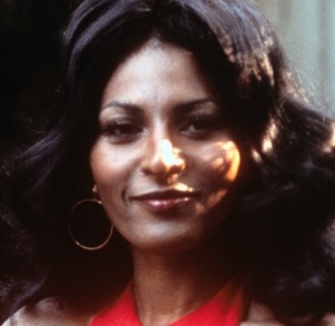 Pam Grier Wiki, Bio, Husband, Divorce, Cancer and Net Worth